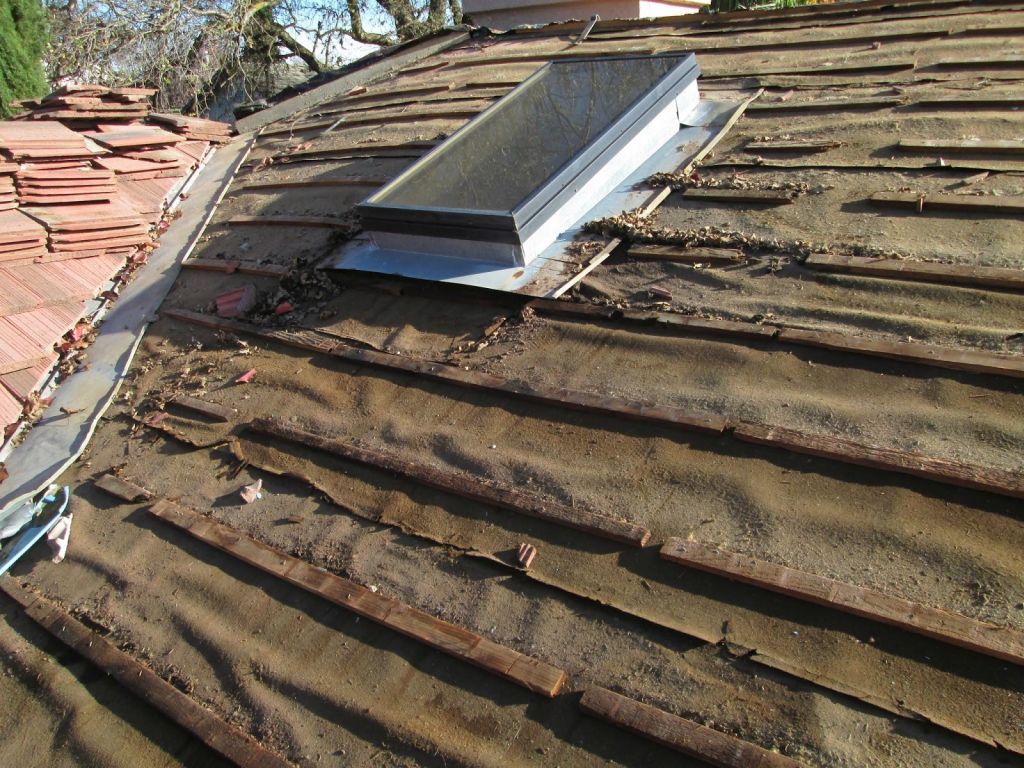 Roof Leak Repairs in San Antonio, TX 78247