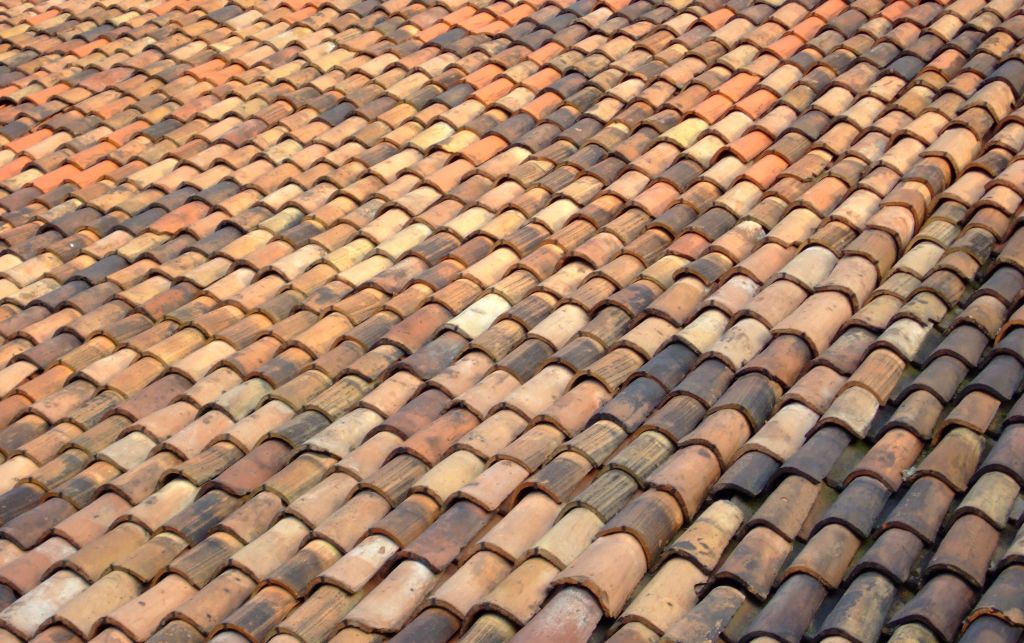 Roof Leak Repairs in Dupont, WA 98327