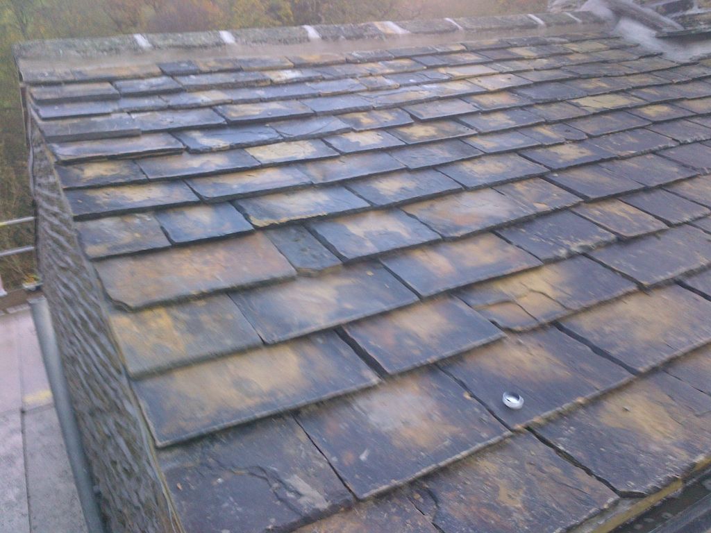 Roof Leak Repairs in Niagara Falls, NY 14301