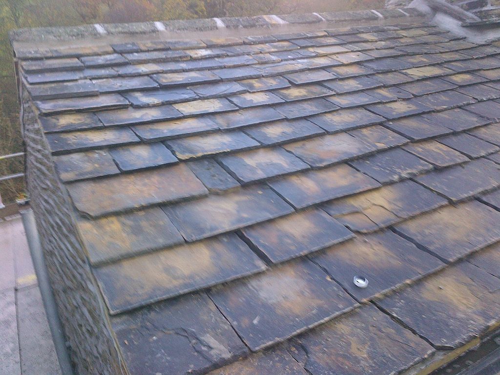 Roof Maintenance in Greenleaf, ID 83626