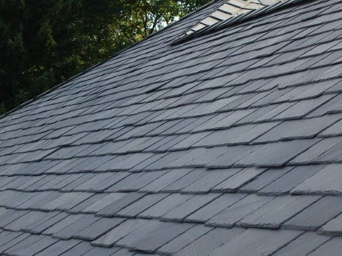 Roof Leak Repairs in Dallas, TX 75217