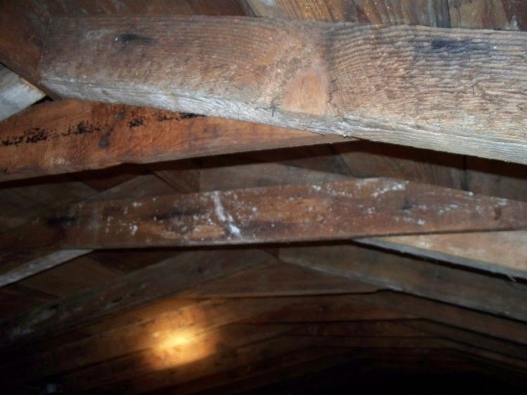 Roof Leak Repairs in Sauquoit, NY 13456